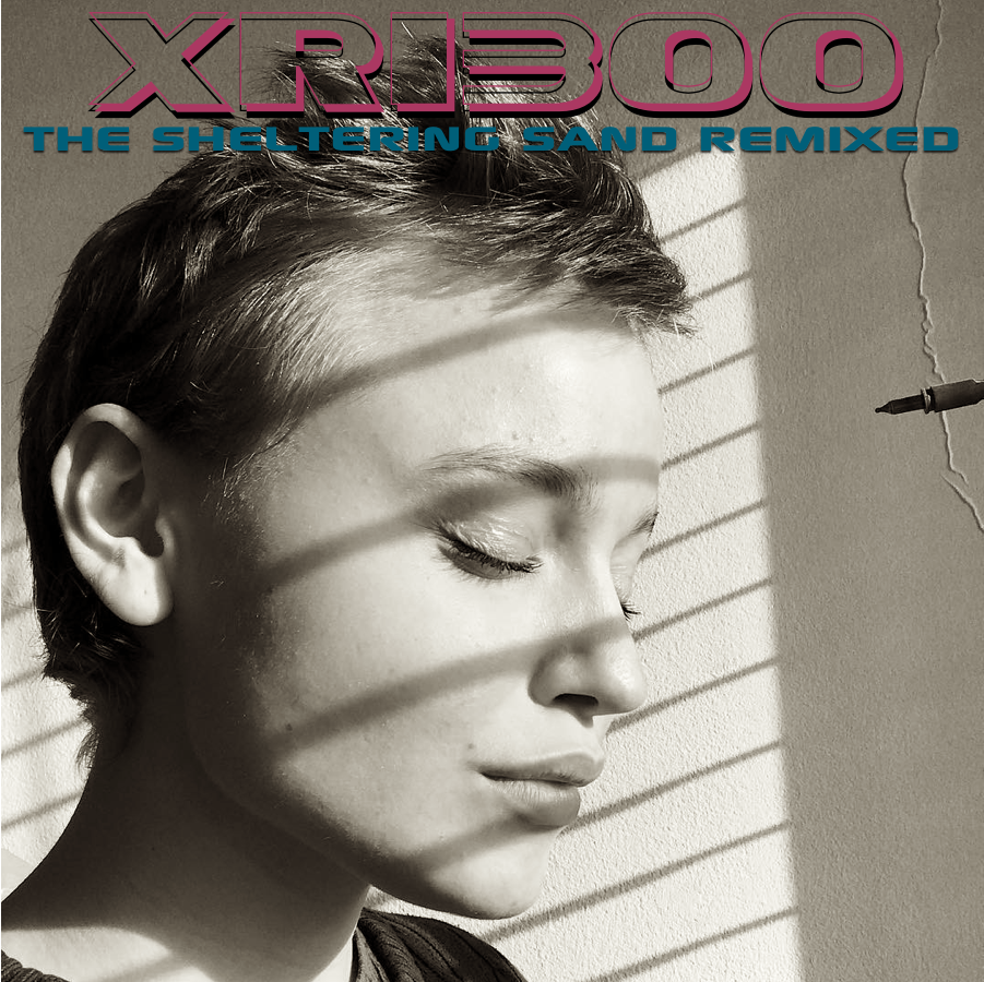 the sheltering sand remixed front cover